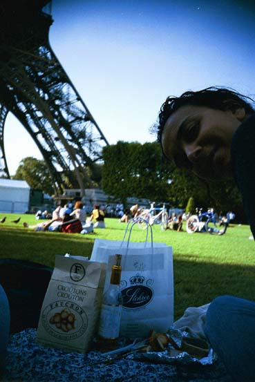 eiffel tower picnic